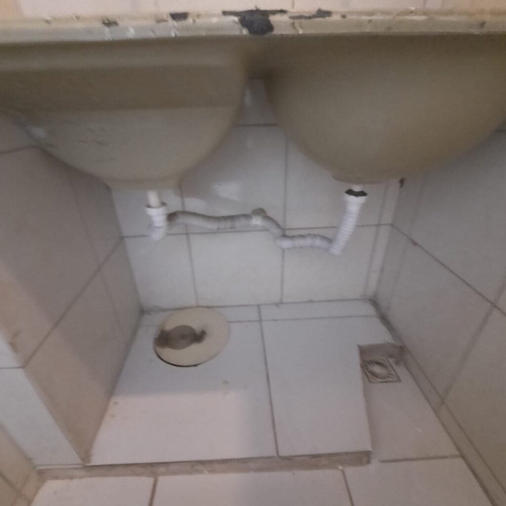 Imagem do WhatsApp de 2024-11-27 à(s) 13.06.26_c25567dc